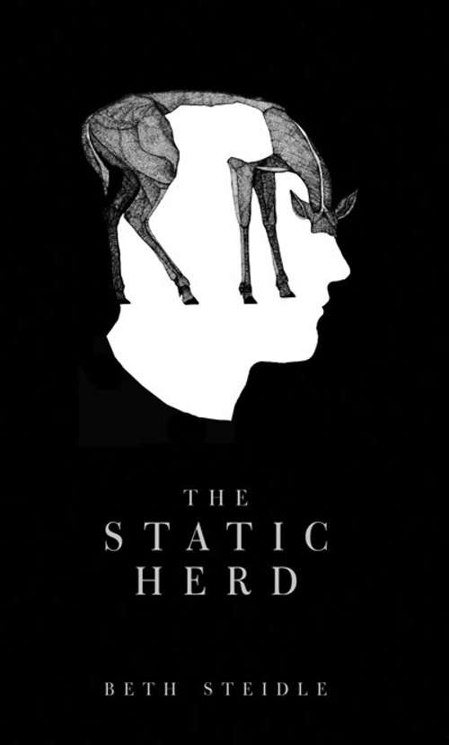 The Static Herd, a novel by Beth Steidle, reviewed by Allegra Hyde