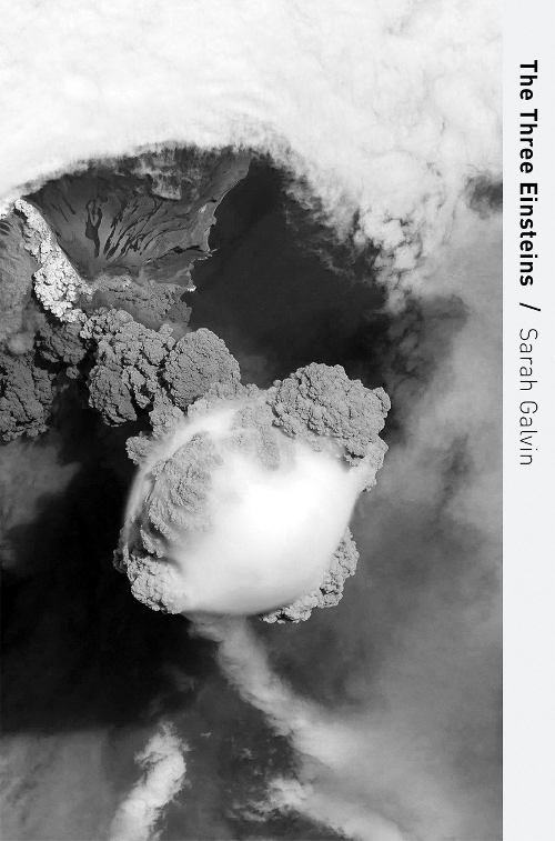 Poetry Review: BJ Love on The Three Einsteins by Sarah&nbsp;Galvin