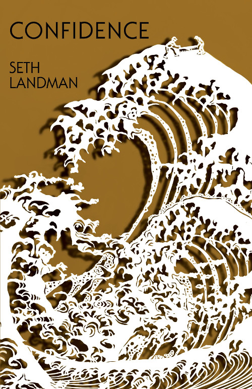 Poetry Review: Thomas Cook on Confidence by Seth&nbsp;Landman