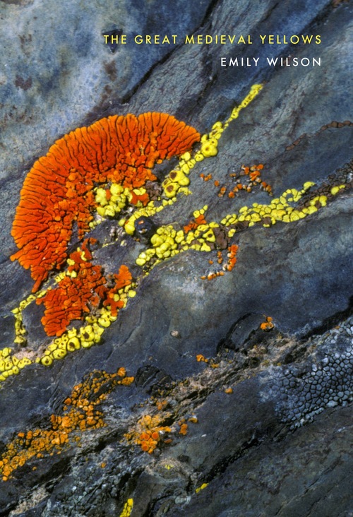 The Great Medieval Yellows, poetry by Emily Wilson, reviewed by Timothy&nbsp;Duffy