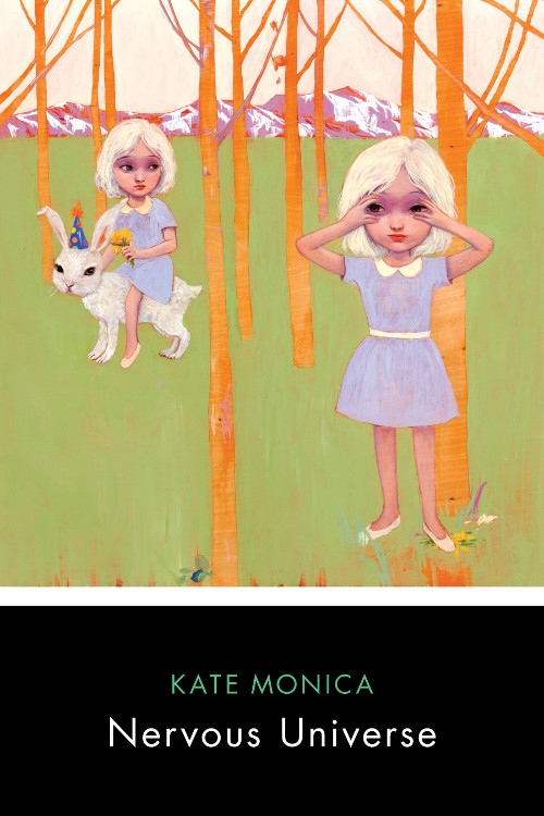 Poetry Review: Luis Neer Reads Nervous Universe by Kate&nbsp;Monica