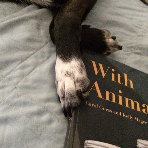 “Moving Beyond Humanness”: An Interview with Carol Guess & Kelly Magee by Dana&nbsp;Diehl