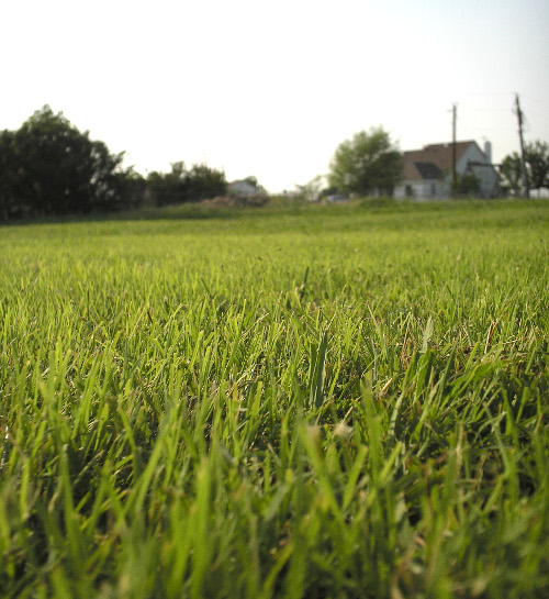 Three Poems by Gary&nbsp;Glauber