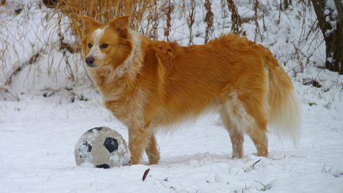 Fiction: Dan Crawley’s “Bonkers”