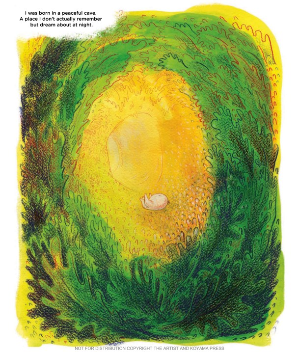 koyama_press_birthmark1