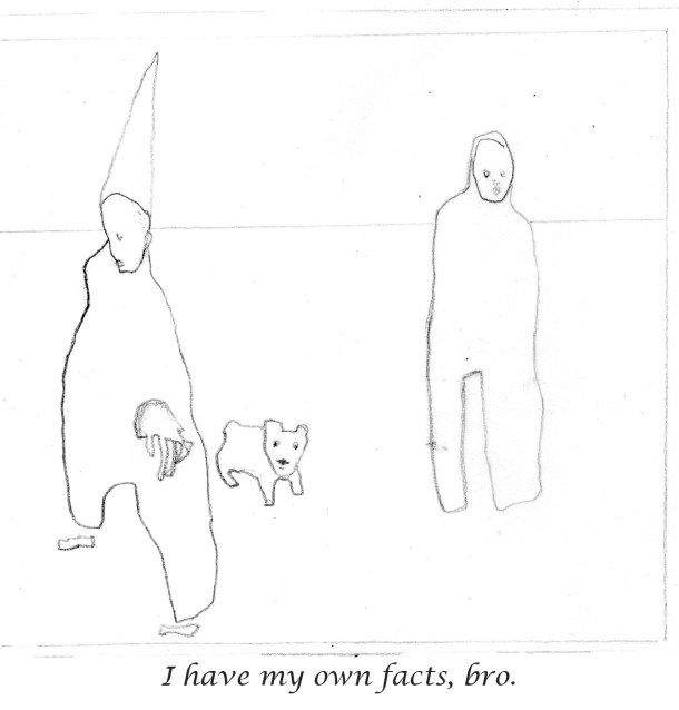 i-have-my-own-facts-bro