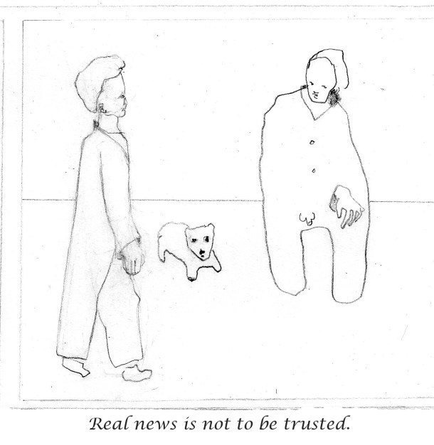 real-news-is-not-to-be-trusted