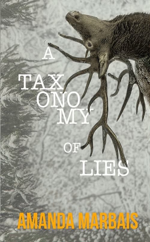 augusttaxonomyoflies_frontcover_final_20160828_1_1024x1024