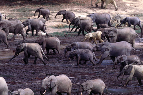 Poetry: Ace Boggess’ “Has the Music Faded at&nbsp;All?”