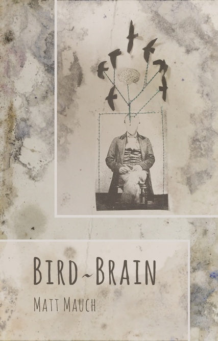 Poetry Review: Lucas Pingel Reads Matt Mauch’s Bird∼Brain