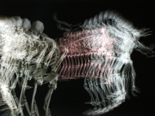 Fiction: Timmy Reed’s “Minutes from Meeting of Afterdeath Board of Directors”