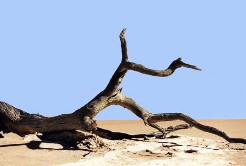 Fiction-screenplay Hybrid: “Game in the Sand” by Joe Sacksteder