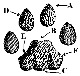 Two Poems by Jeremy&nbsp;Griffin