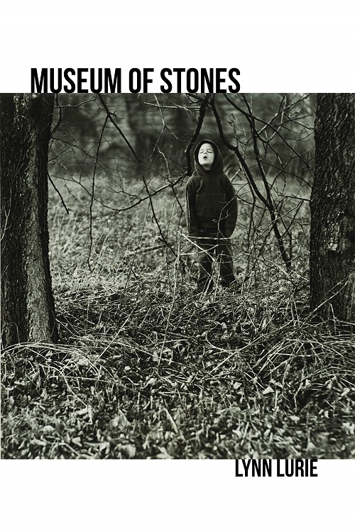 Museum of Stones, a novel by Lynn Lurie, reviewed by Christina Ghent