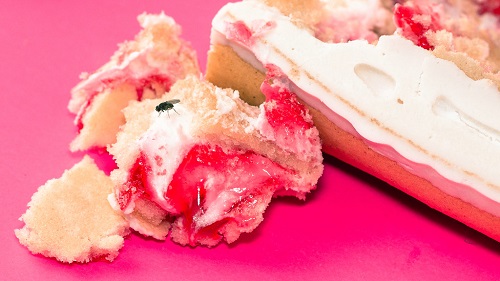 Fiction by Marcus Pactor: “Cake”