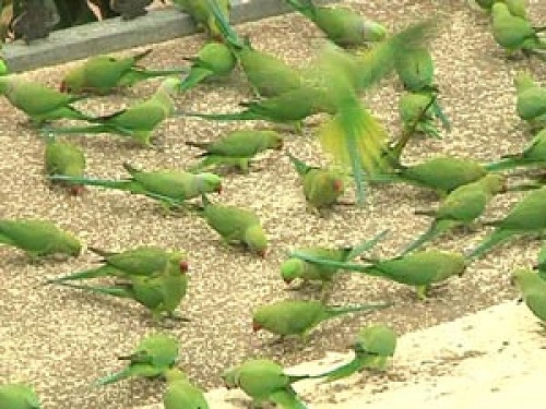 Nathan Wade Carter: Two&nbsp;Poems