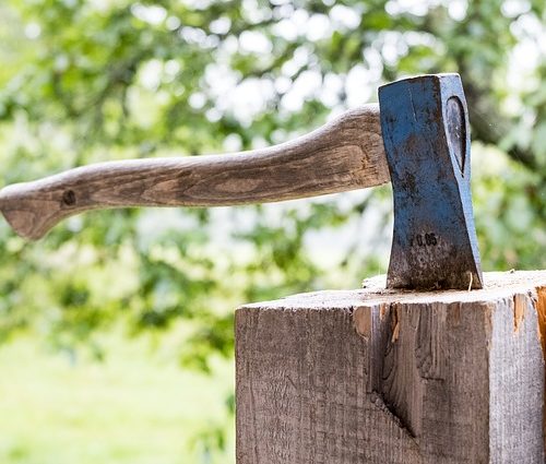 F. Daniel Rzicznek Poetry: “Hatchet”