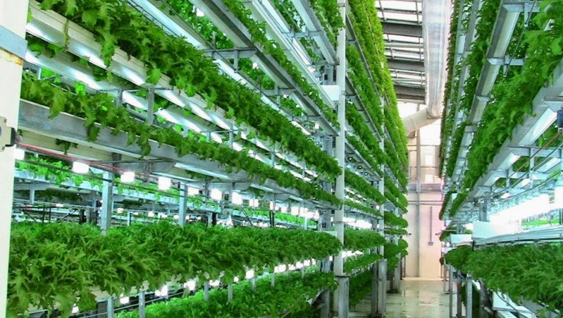 “The Light to Our Worship”: A Poem from The Future by Armando Jaramillo&nbsp;Garcia