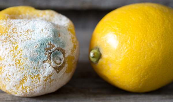 “The Man Who Smells of Lemons”: A Poem from the Future by Jude&nbsp;Marr