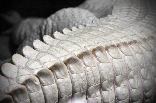 “Plastic Light,” flash fiction from The Future by Jerrod Schwarz