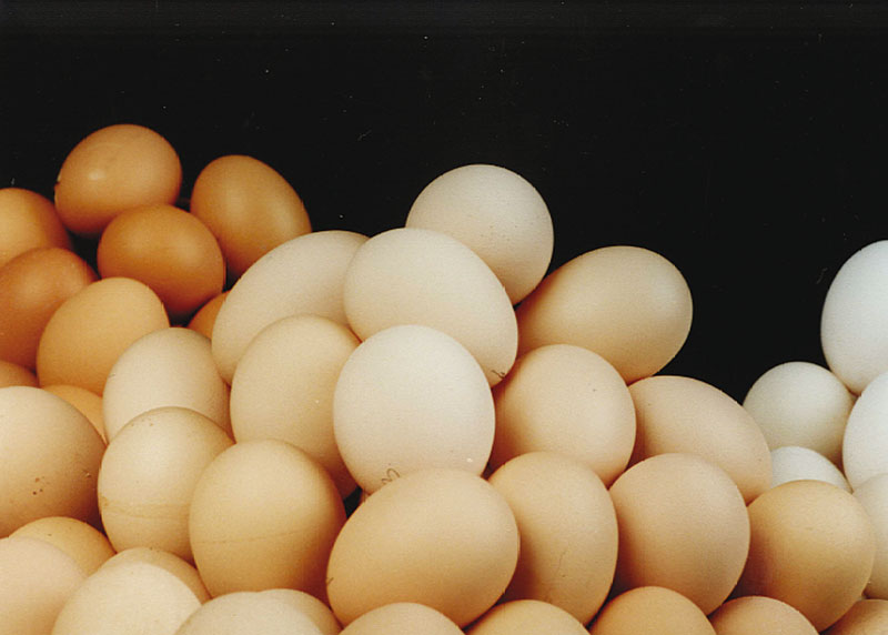 Flavor Town USA Poetry: “On Eggs” by Evan Williams