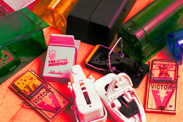 “An Offering of Space”: An Essay for Bad Survivalist by Whitney Kerutis