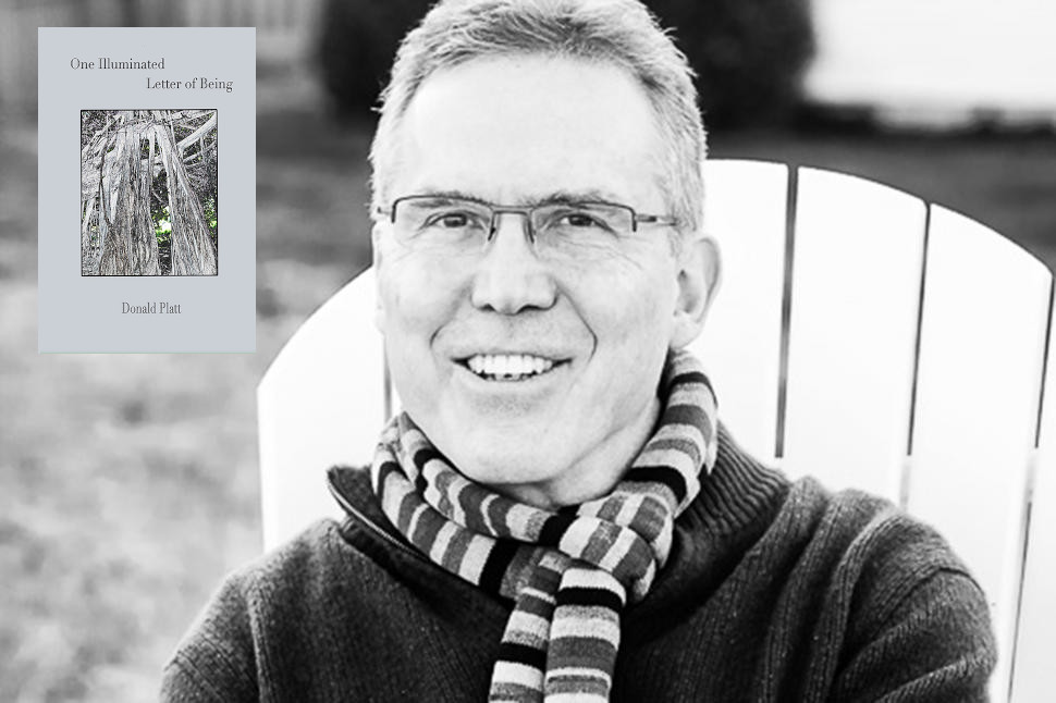 “Outside of Our Conscious Control”: PK Eriksson Interviews Donald&nbsp;Platt