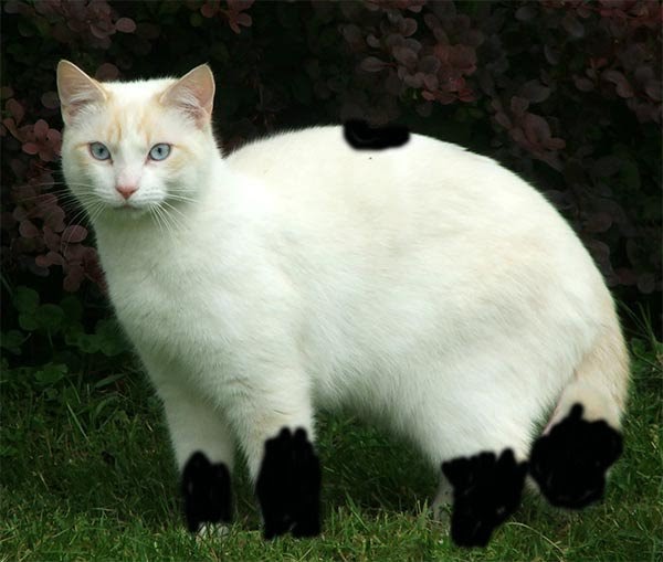 Honor Vincent: “Boots,” a Haunted Passages short&nbsp;story