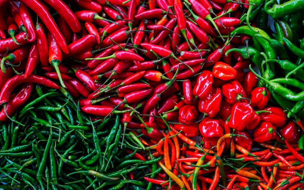 Flavor Town USA: Five Capsicum Poems by Steven Ray Smith