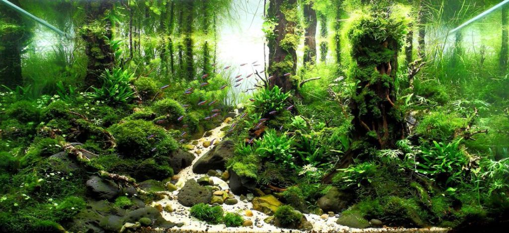 “Shiny Shiny,” a Flavor Town USA short story by Mollie&nbsp;Schofer