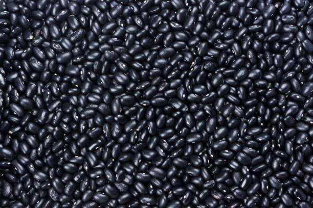“Two Little Stories about Black Beans”: A Flavor Town USA Fiction by Eli S.&nbsp;Evans