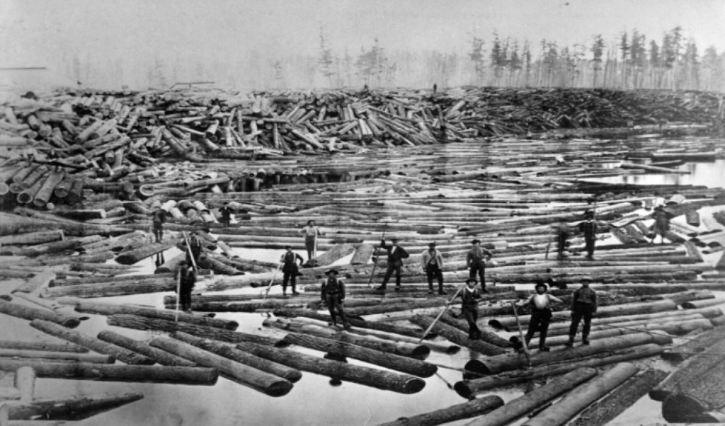 Three Poems from The Future: Josh&nbsp;Fomon