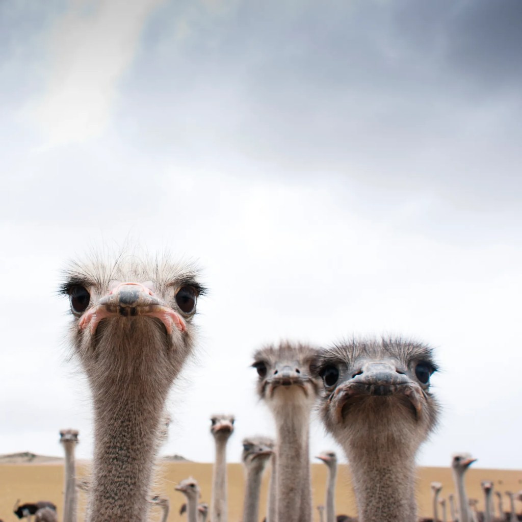 Haunted Passages: Five Poems by Scott&nbsp;Ferry