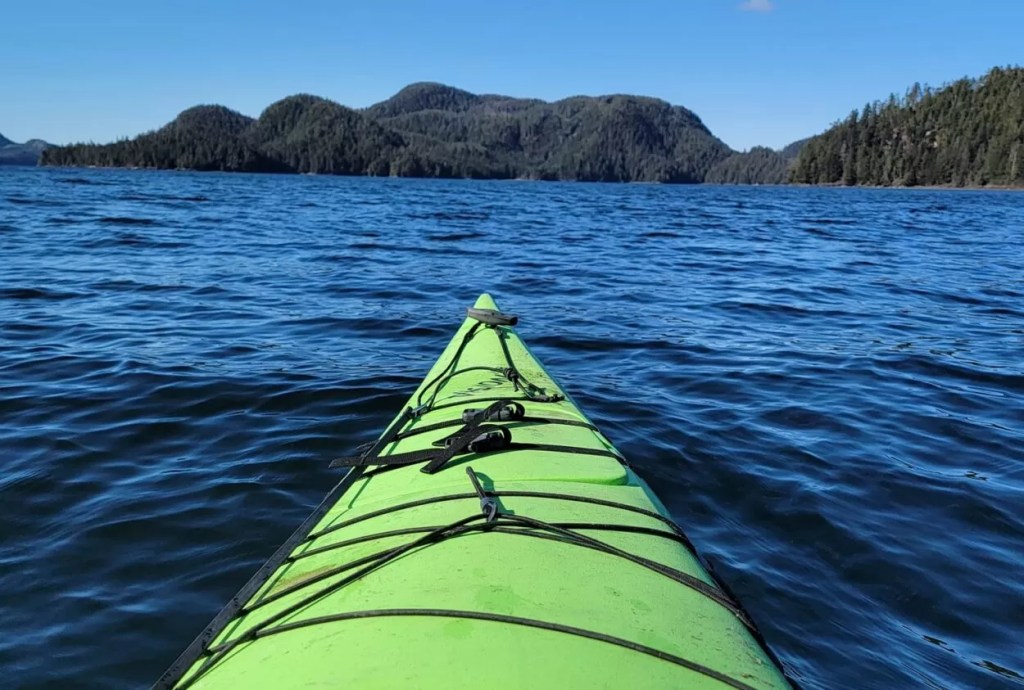 Miriam Gershow: “Nature Stories,” a new nonfiction for Bad Survivalist