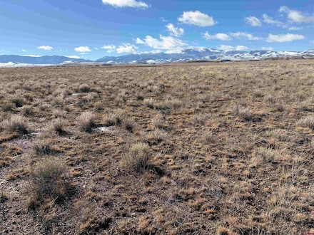 Poetry from the Future: “salamander exfil” by Dennis Hinrichsen